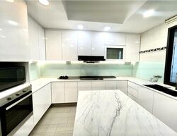 Four Seasons Park (D10), Condominium #479926581